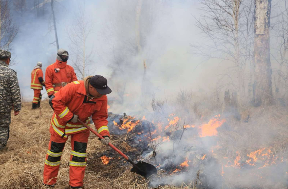 Ойн гал түймэрт 9 га талбай өртөж шатжээ